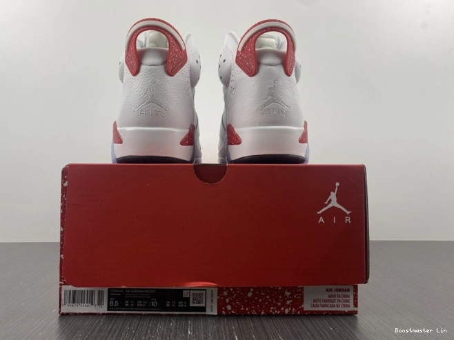 Bmlin Jordan CT8529-162 6 Retro Hare 0705